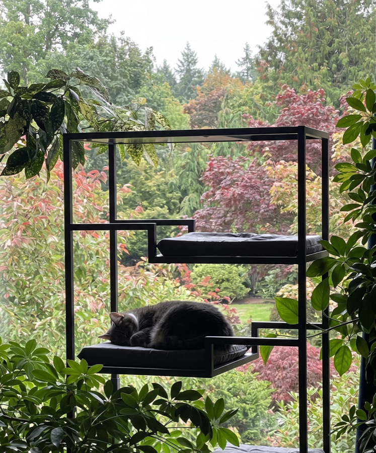 A cat sleeping peacefully in a sunlit window perch